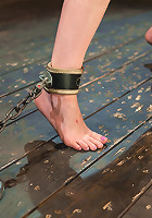 Q: What's the difference between a precious baby kitten and a head-thrashing cum-beast?