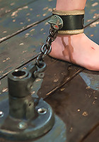 Q: What's the difference between a precious baby kitten and a head-thrashing cum-beast?