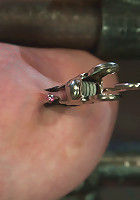 Katie Kox Thanks for the mammaries.