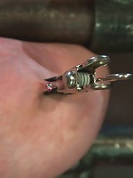 Katie Kox Thanks for the mammaries.