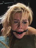 Tara Lynn FoxBack to Basics