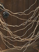 Tara Lynn Fox, Mellanie Monroe, and Isis Love Part 4 of 4 of the December Live Show