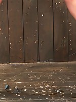 Lorelei Lee Hot pussy on a copper roof.