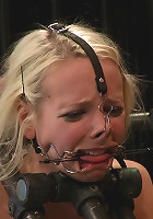 Ashley Jane, Ally Ann, and Princess Donna Part 2 of 4 of the November Live show