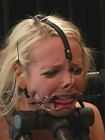 Ashley Jane, Ally Ann, and Princess Donna Part 2 of 4 of the November Live show