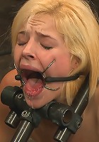 Ashley Jane, Ally Ann, and Princess Donna Part 2 of 4 of the November Live show