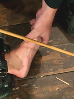 Mellanie Monroe Happy Thanksgiving.