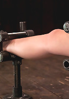 Ally Ann 19 year old, zippered, and made to cum until her brain melts!