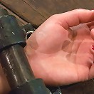 Sarah ShevonThe Pile Driver