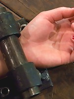 Sarah ShevonThe Pile Driver