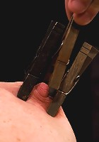 Kylie IrelandSpread and abused.