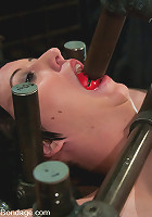 Cherry Torn On the rack!