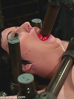 Cherry Torn On the rack!