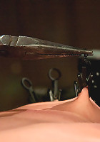 Cherry Torn On the rack!