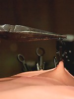 Cherry Torn On the rack!