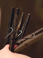 Sarah Shevon Kinda looks like Jorja Fox from CSI don't you think?