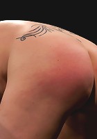 Kylie IrelandPorn Legend suffering like everyone else.