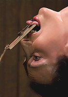 Wenonaformer All-American Gymnast