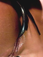 Mason MooreSpicy Latina tamed.