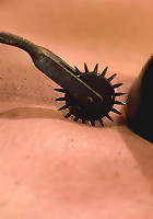 MasonThe Girl From Next Door