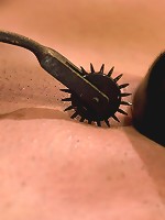 MasonThe Girl From Next Door