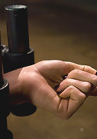 Lorelei LeeWater Works