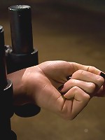 Lorelei LeeWater Works