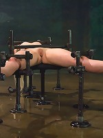 Lorelei LeeWater Works