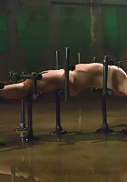 Lorelei LeeWater Works