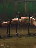 Lorelei LeeWater Works