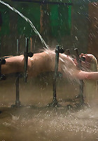 Lorelei LeeWater Works