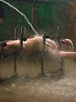 Lorelei LeeWater Works