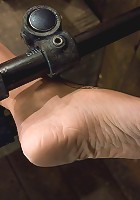 Amber RayneAnal Violation