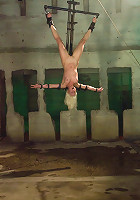 Lorelei LeeBreaking the girl