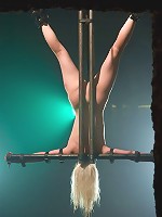 Lorelei LeeBreaking the girl