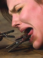 Bobbi StarrHogtie Hell