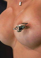 Felony Hot big titted MILFCategory 5 suspension.