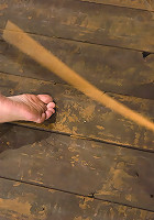 Bobbi StarrAnal Intrusion