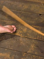 Bobbi StarrAnal Intrusion