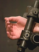 Calico Impaled on an electrified dildo and made to orgasm.