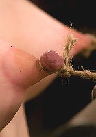 Calico Impaled on an electrified dildo and made to orgasm.