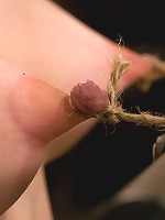 Calico Impaled on an electrified dildo and made to orgasm.