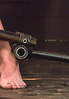 Dana DeArmondSpread, stuffed, and vibrated.Stretched out on toes and made to cum!