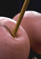 Claire DamesHer huge tits, brutally bound and oiled. Her body spread and tortured.