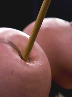 Claire DamesHer huge tits, brutally bound and oiled. Her body spread and tortured.