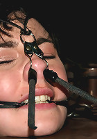 Part Two of the December live feed.