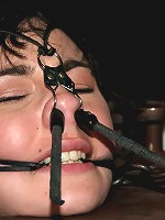 Part Two of the December live feed.