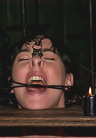 Part Two of the December live feed.