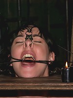 Part Two of the December live feed.