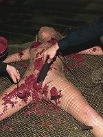 Part Two of the December live feed.